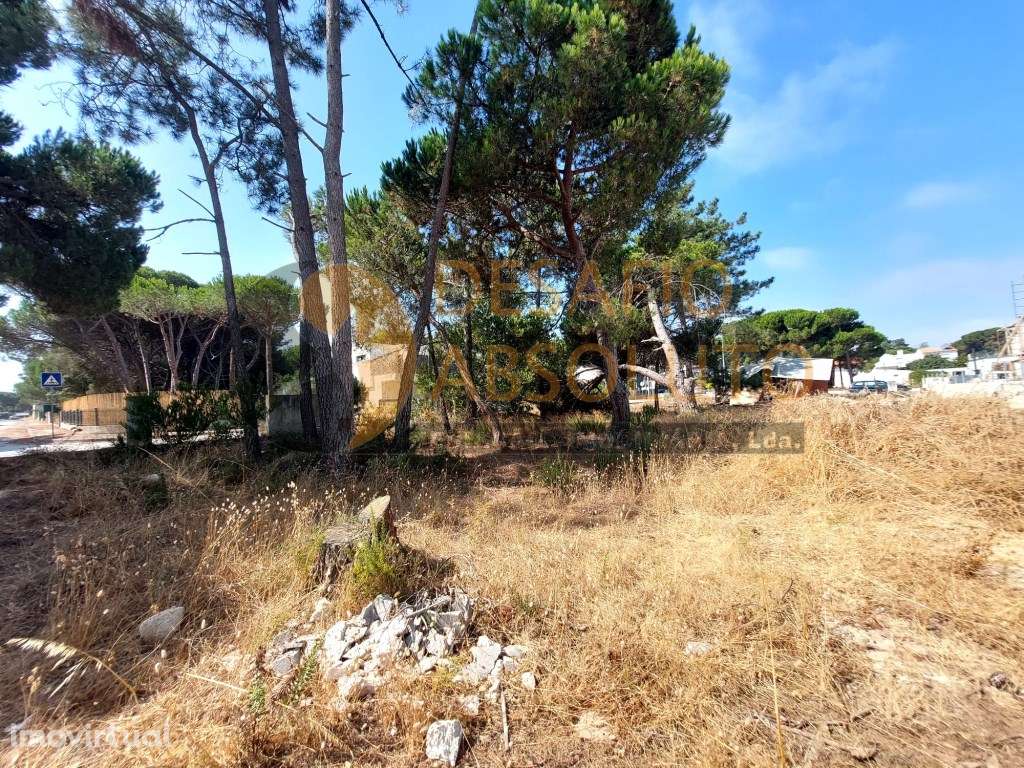 Terreno Rústico - Lagoa de Albufeira, Sesimbra - Grande imagem: 3/7