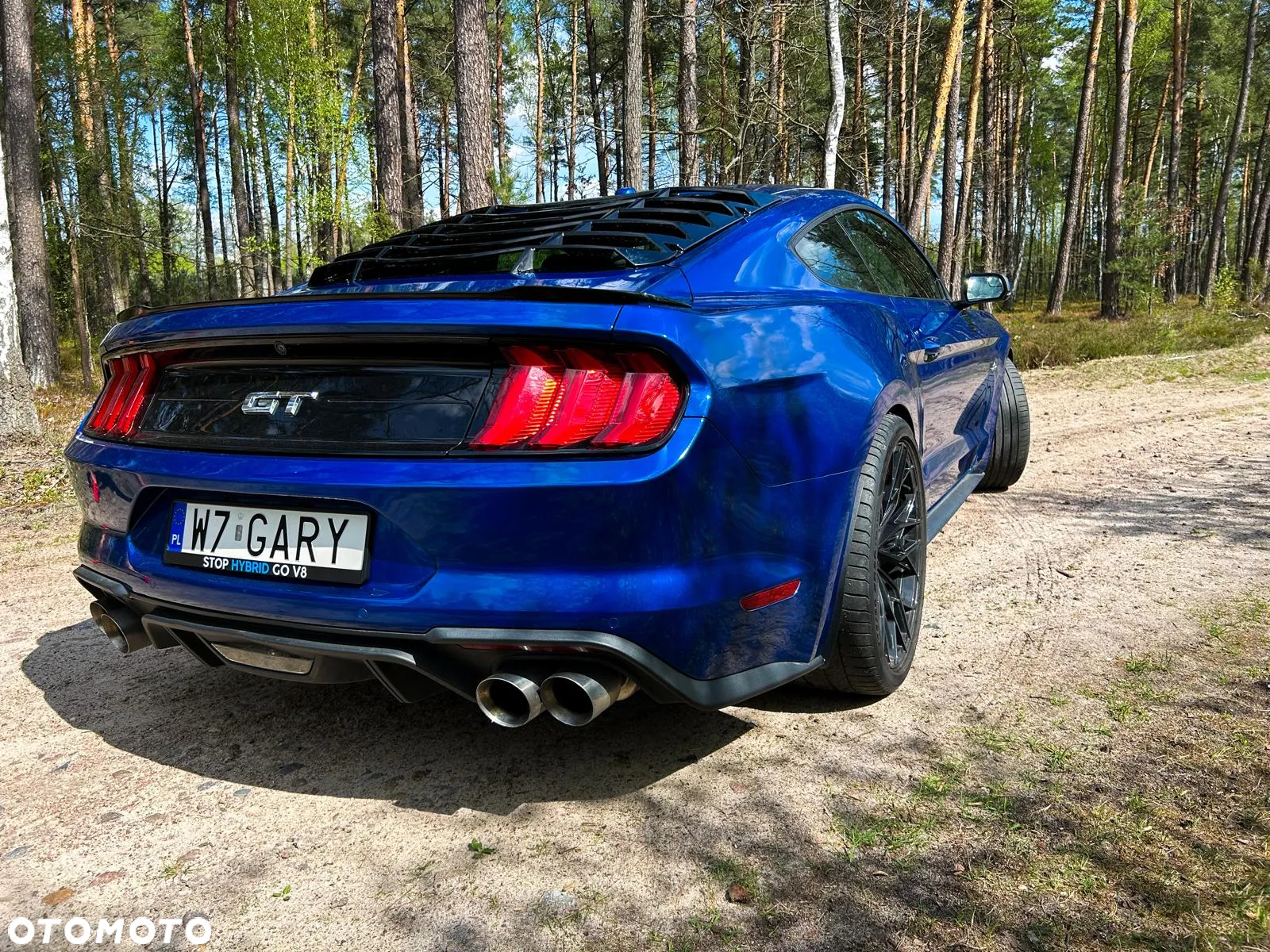 Ford Mustang Fastback 5.0 Ti-VCT V8 MACH1 - 18