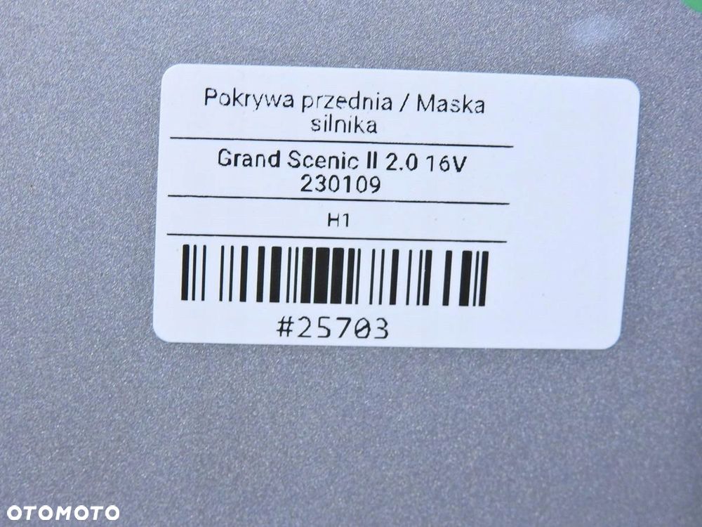 MASKA TED69 RENAULT SCENIC II - 6