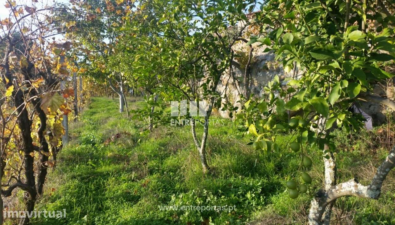Venda Terreno, junto à estrada, Penha Longa, Marco de Canaveses - Grande imagem: 2/17