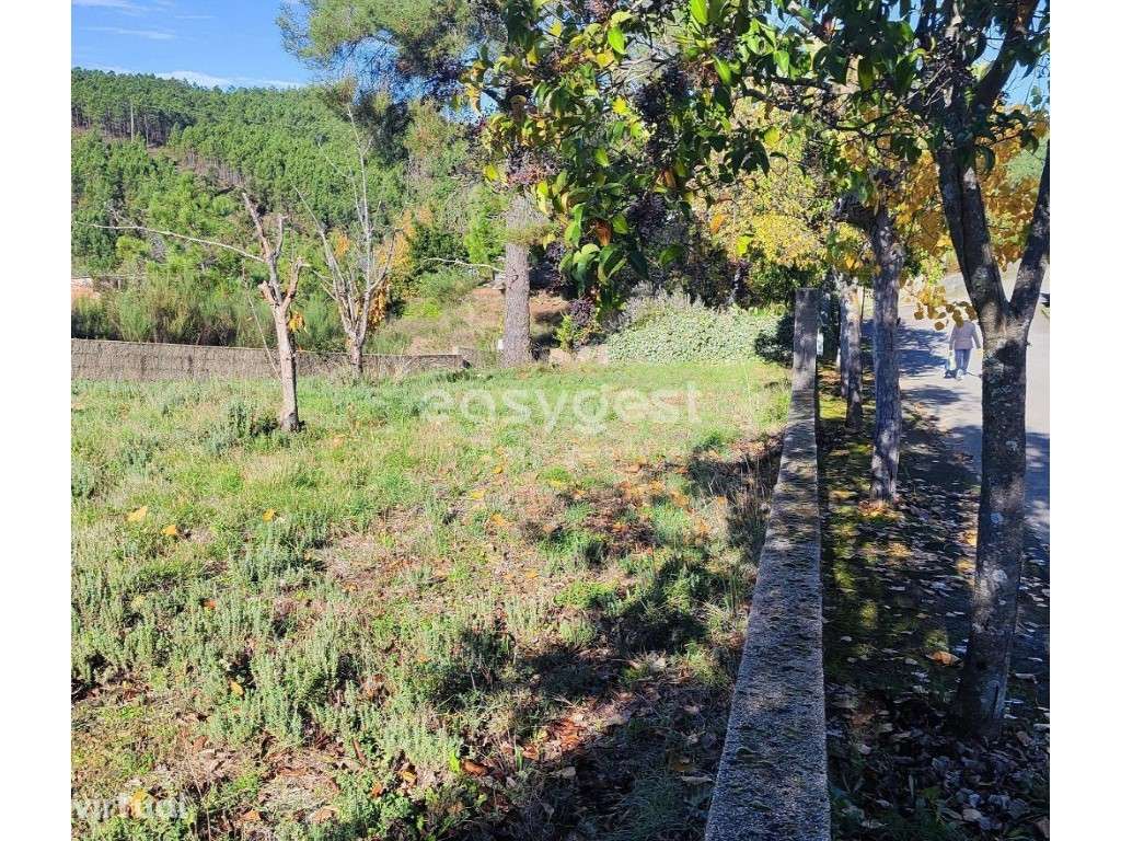 Terreno urbano situado na vila de são Vicente da Beira a escassos m... - Grande imagem: 4/12