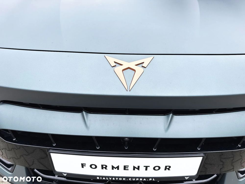 Cupra Formentor 2.0 TSI 4Drive DSG - 17