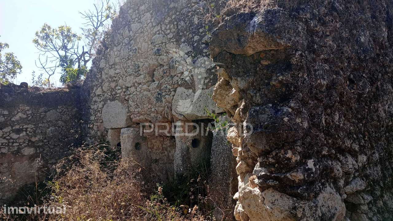 Imóvel centenário em ruinas - Grande imagem: 2/12