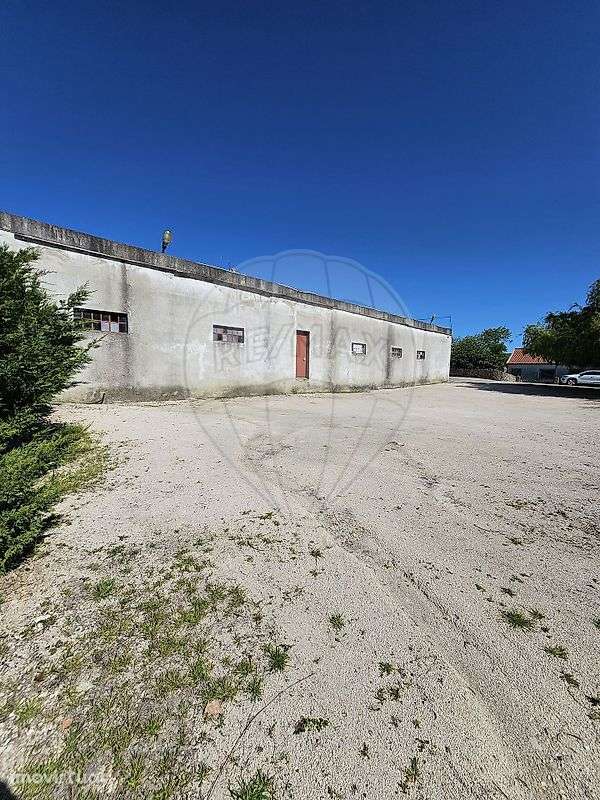 Armazém  para arrendamento - Grande imagem: 4/5