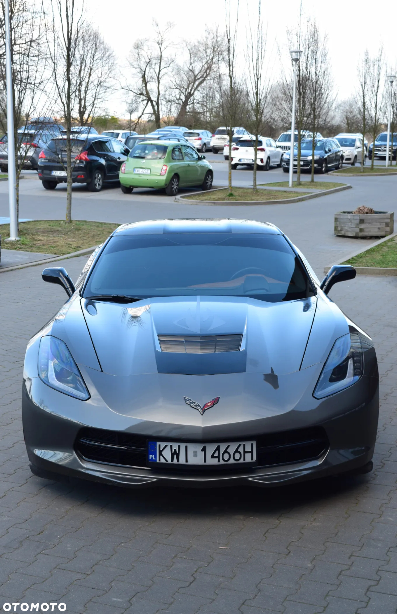 Chevrolet Corvette Stingray 3LT 6.2 V8 Automatik - 16
