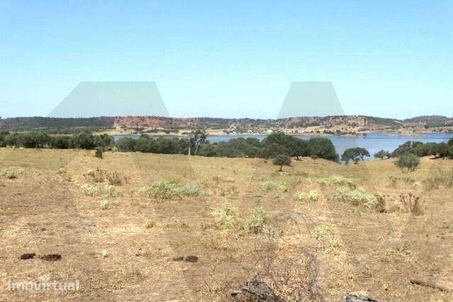 Terreno com 9.74 ha, junto à Barragem Monte da Rocha - Ourique - Grande imagem: 4/7