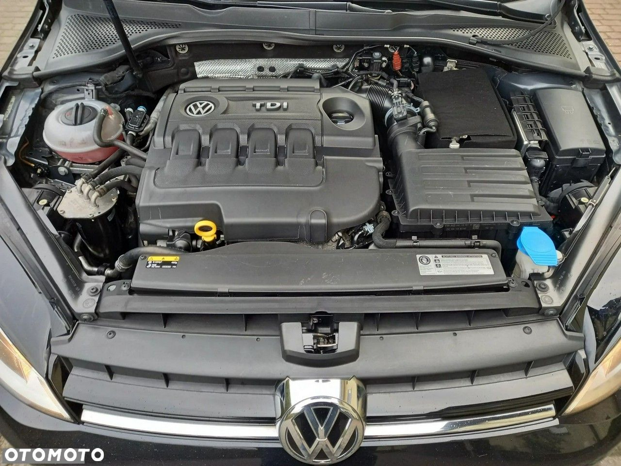 Volkswagen Golf VII 1.6 TDI BMT Trendline - 13