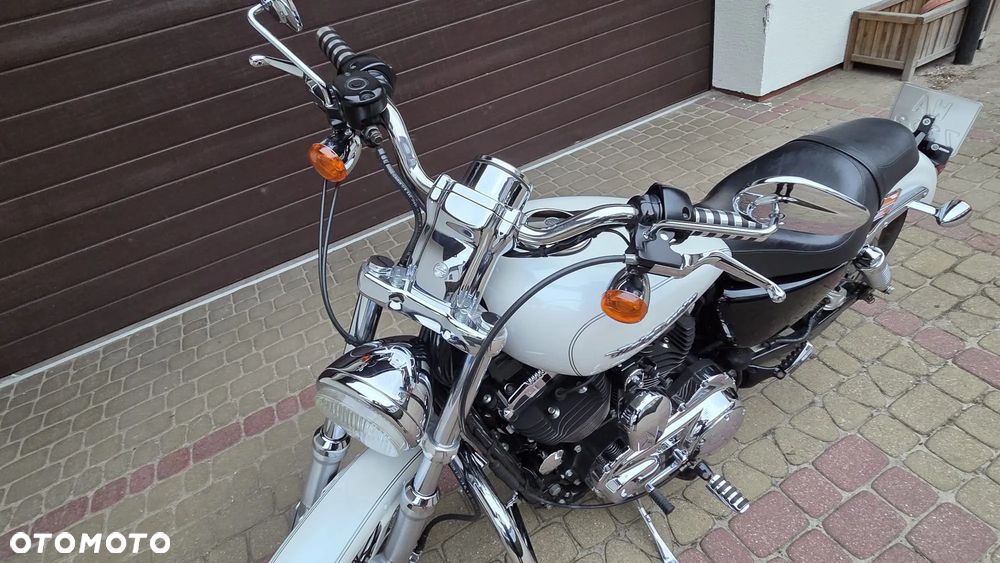 Harley-Davidson Sportster Custom 1200C - 7