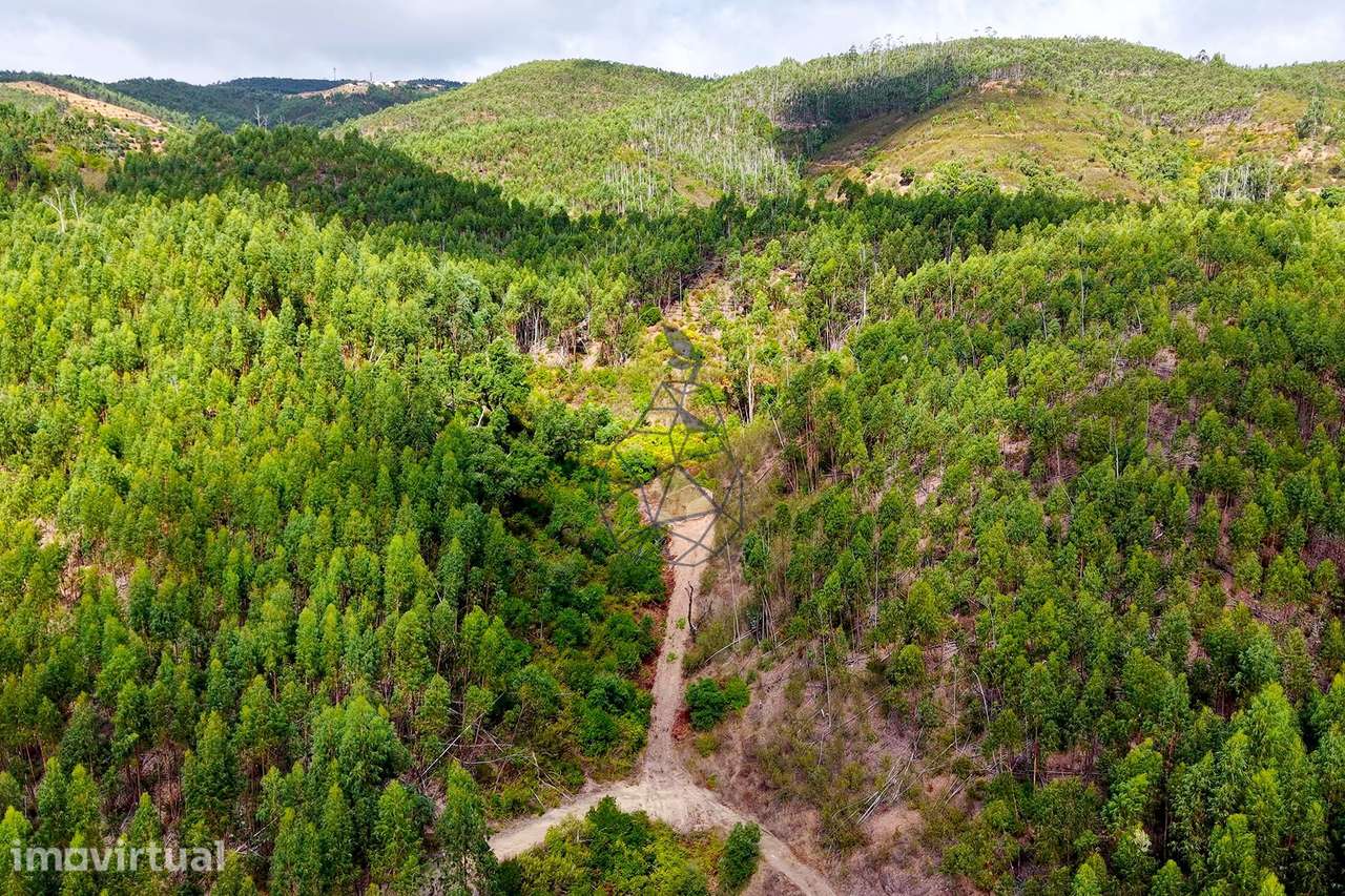 Propriedade rural com 38.760 m² em Foz da Macheira, Monchique - Grande imagem: 4/35