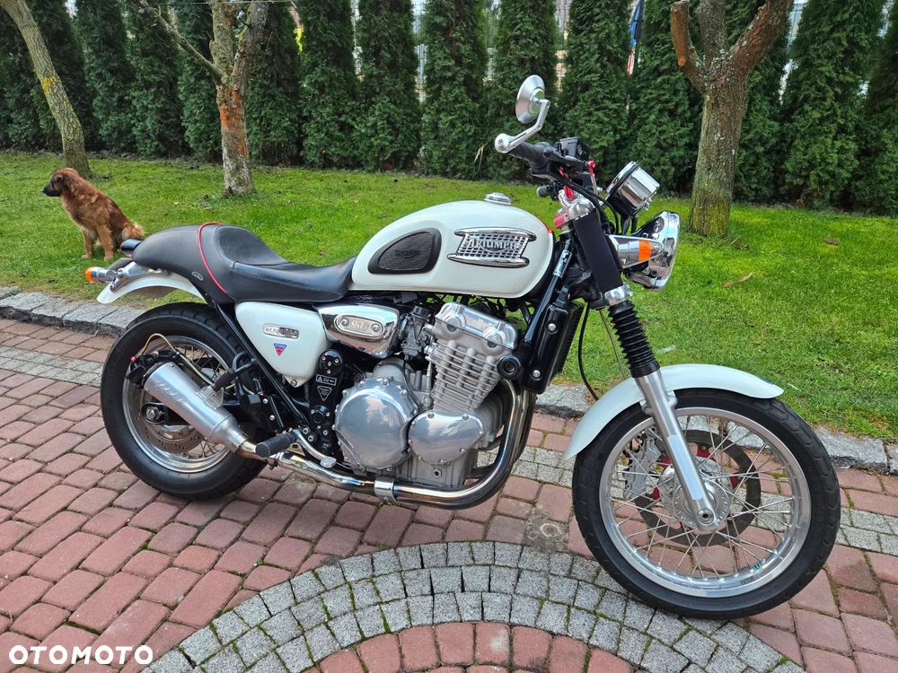 Triumph Thunderbird - 4