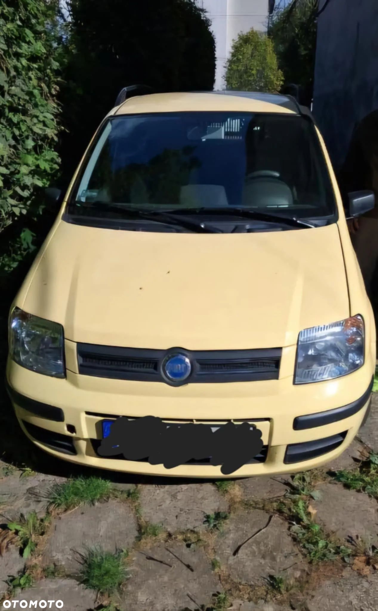 Fiat Panda 1.2 Dynamic - 1