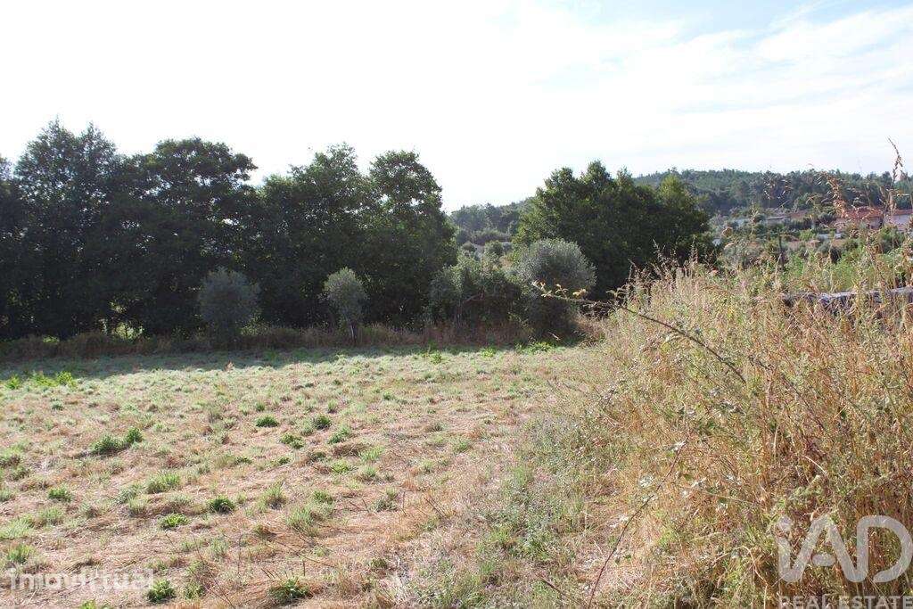 Terreno em Bobadela de 2500,00 m2 - Grande imagem: 2/10