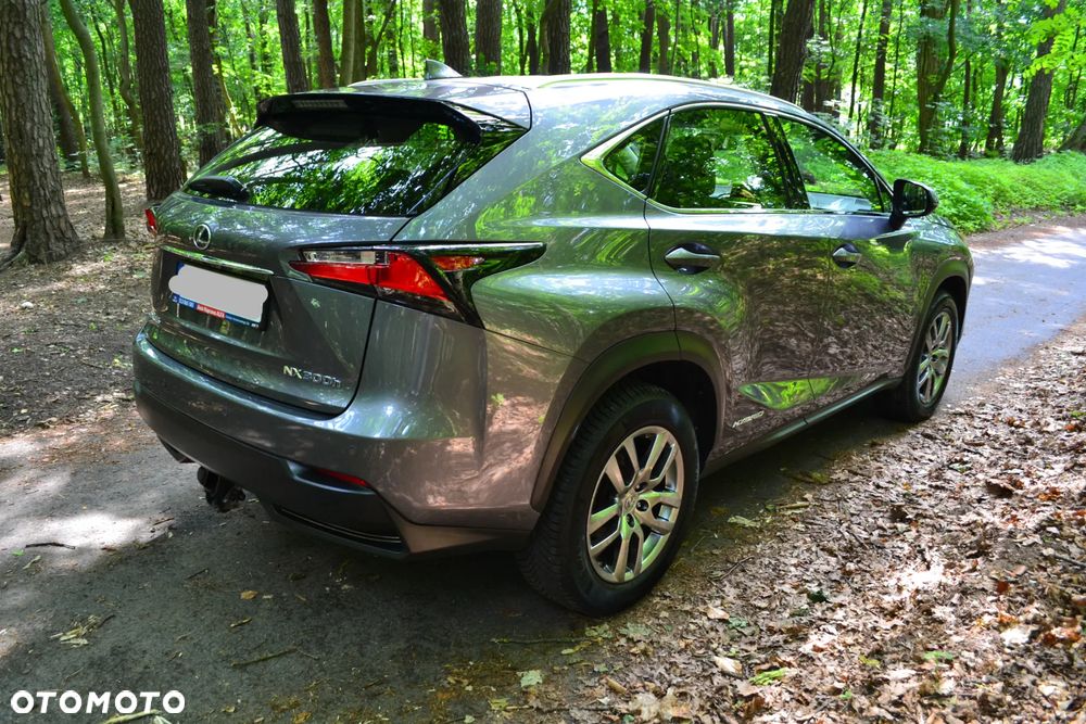 Lexus NX 300h - 3