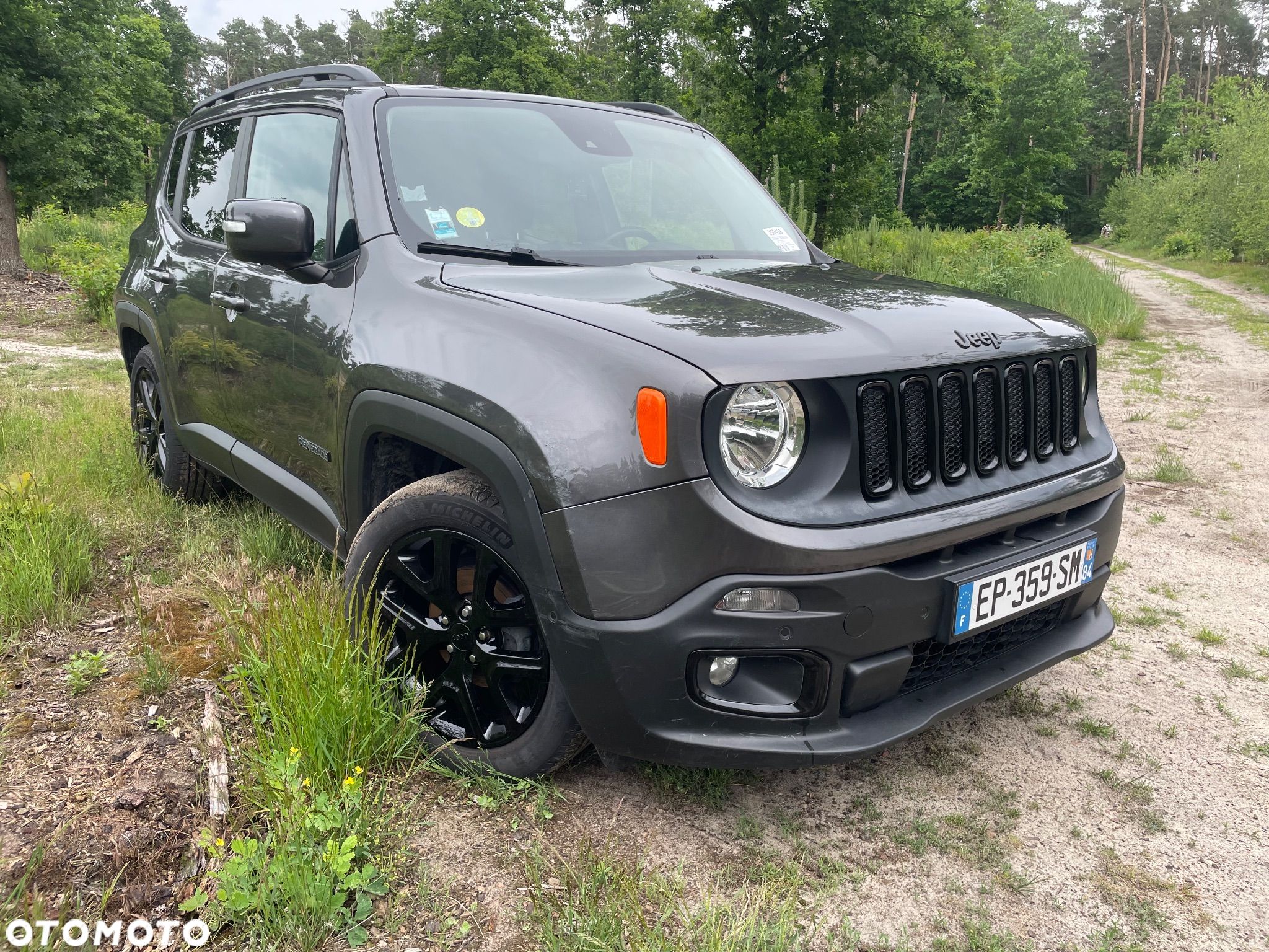 Jeep Renegade 1.6 MultiJet Opening Edition Start&Stopp - 1