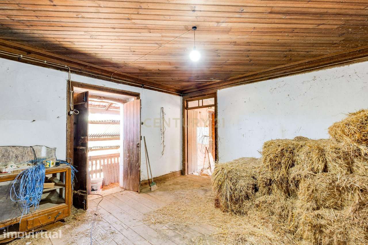 Casa Antiga || Quintinha com 7000 m2 || Vermoil, Pombal - Grande imagem: 4/15