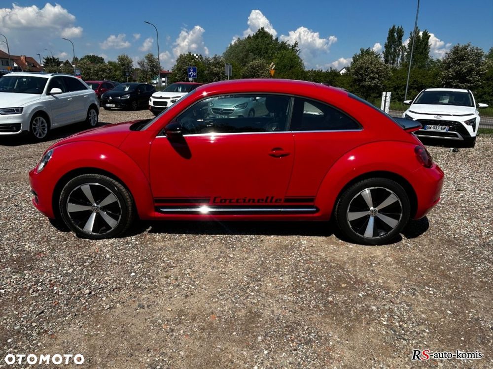 Volkswagen Beetle - 19