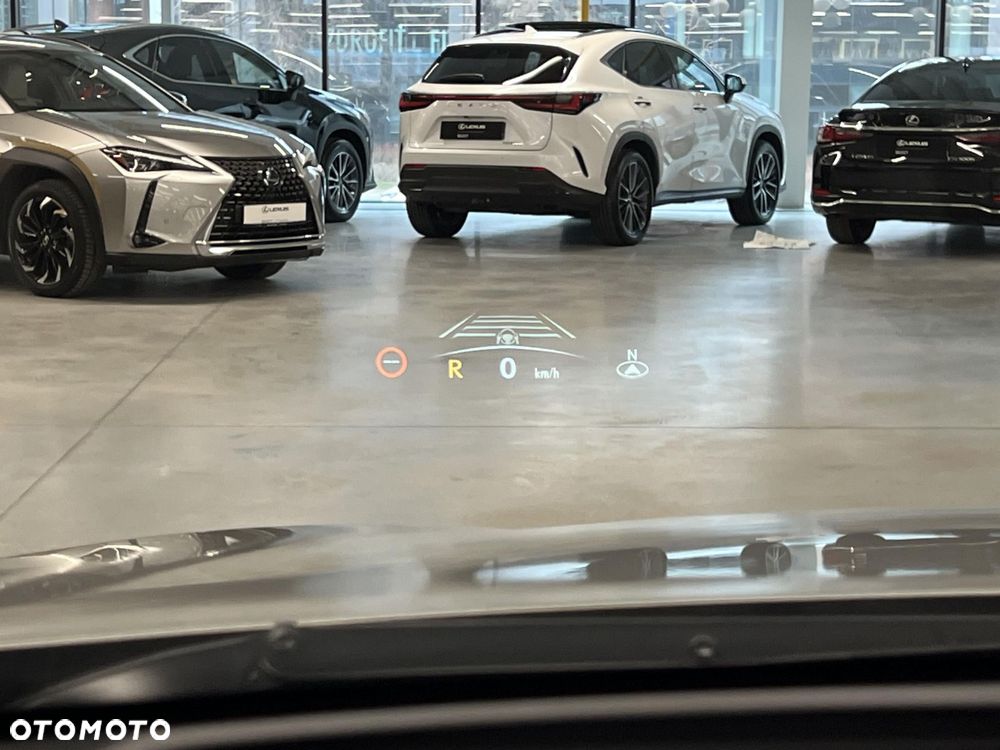 Lexus NX - 33