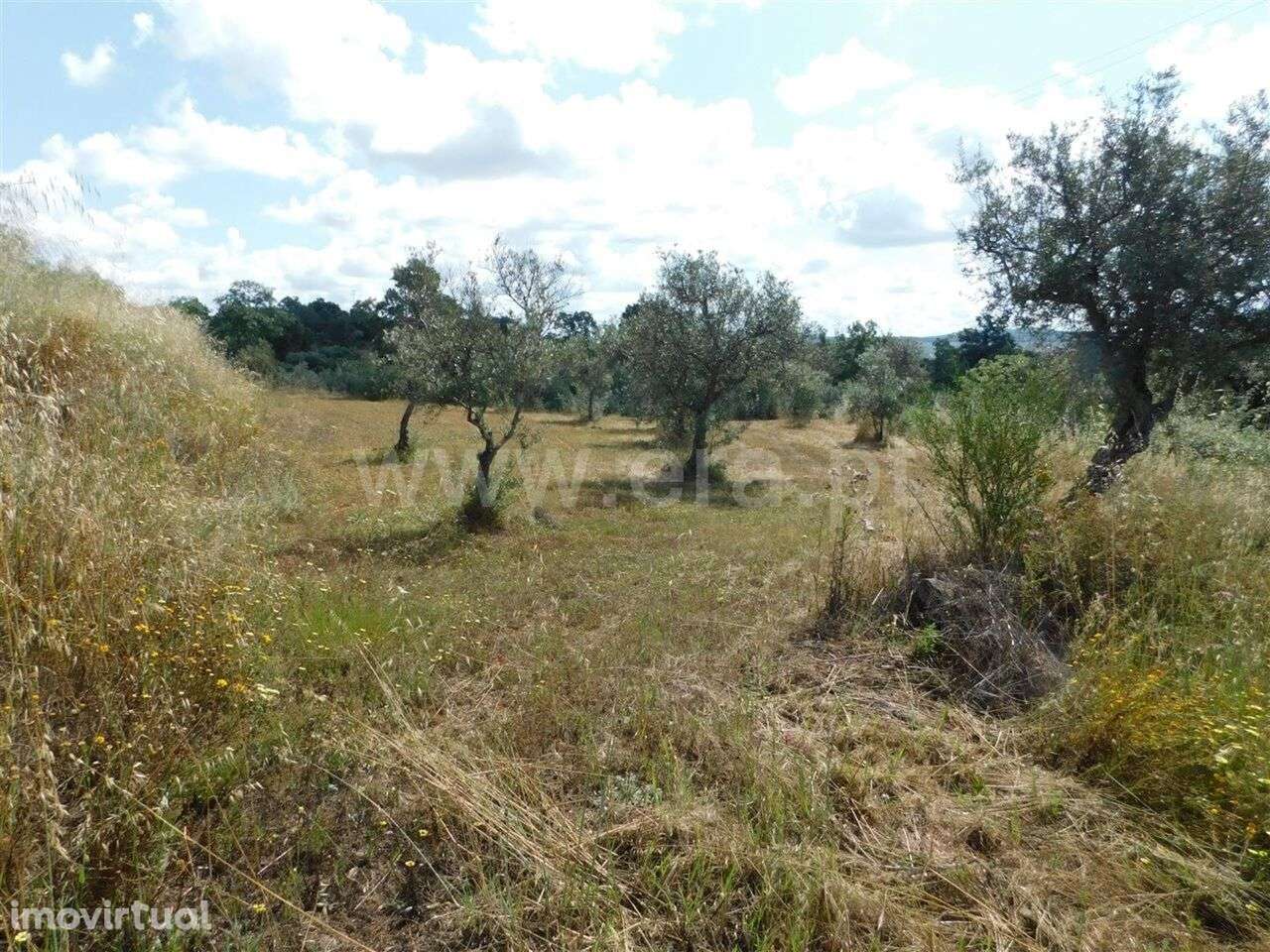 Terreno / Fundão, Alpedrinha - Grande imagem: 2/11