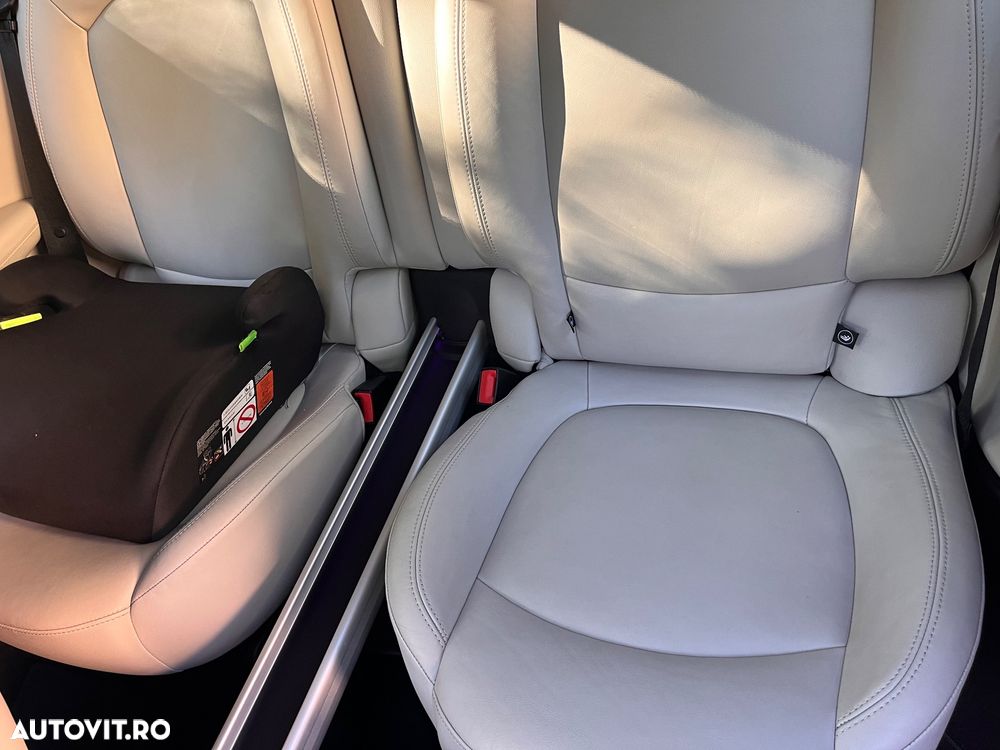 Mini Paceman - 20
