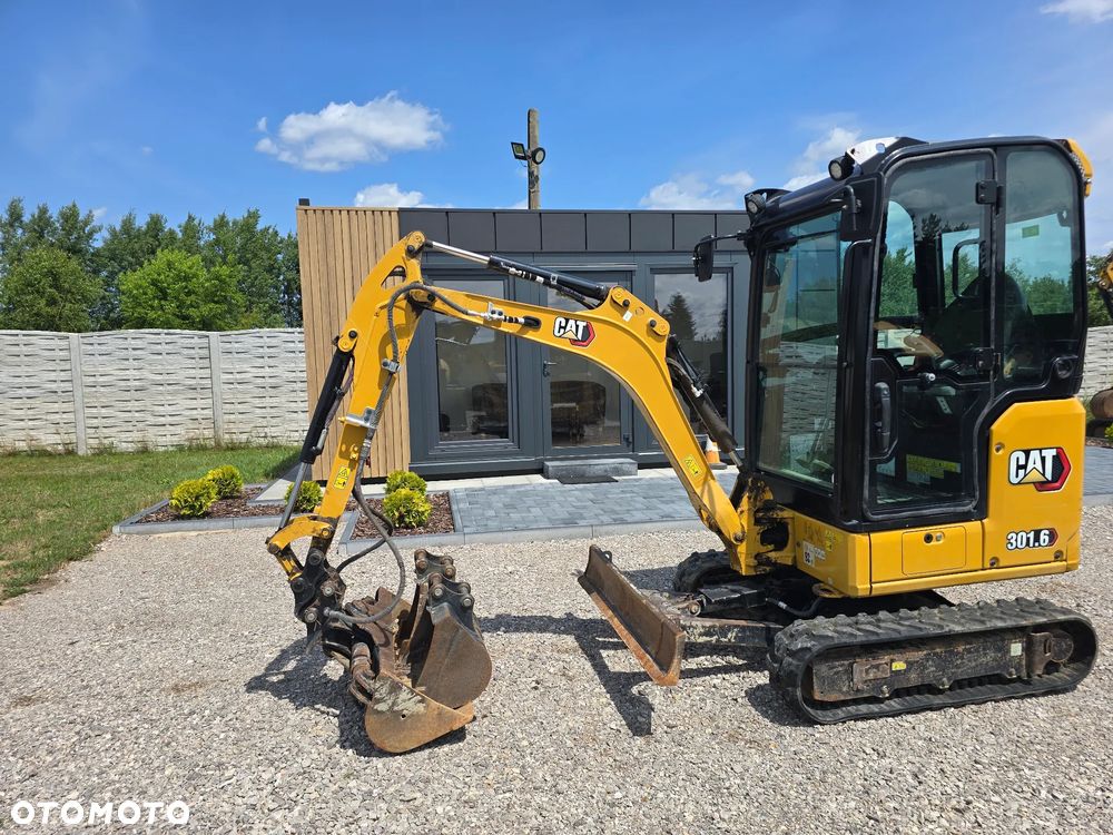 Caterpillar - 1
