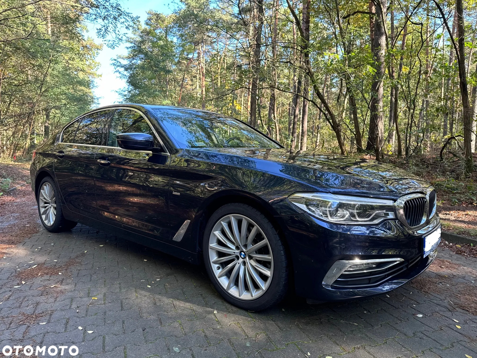 BMW Seria 5 520d xDrive Luxury Line - 2