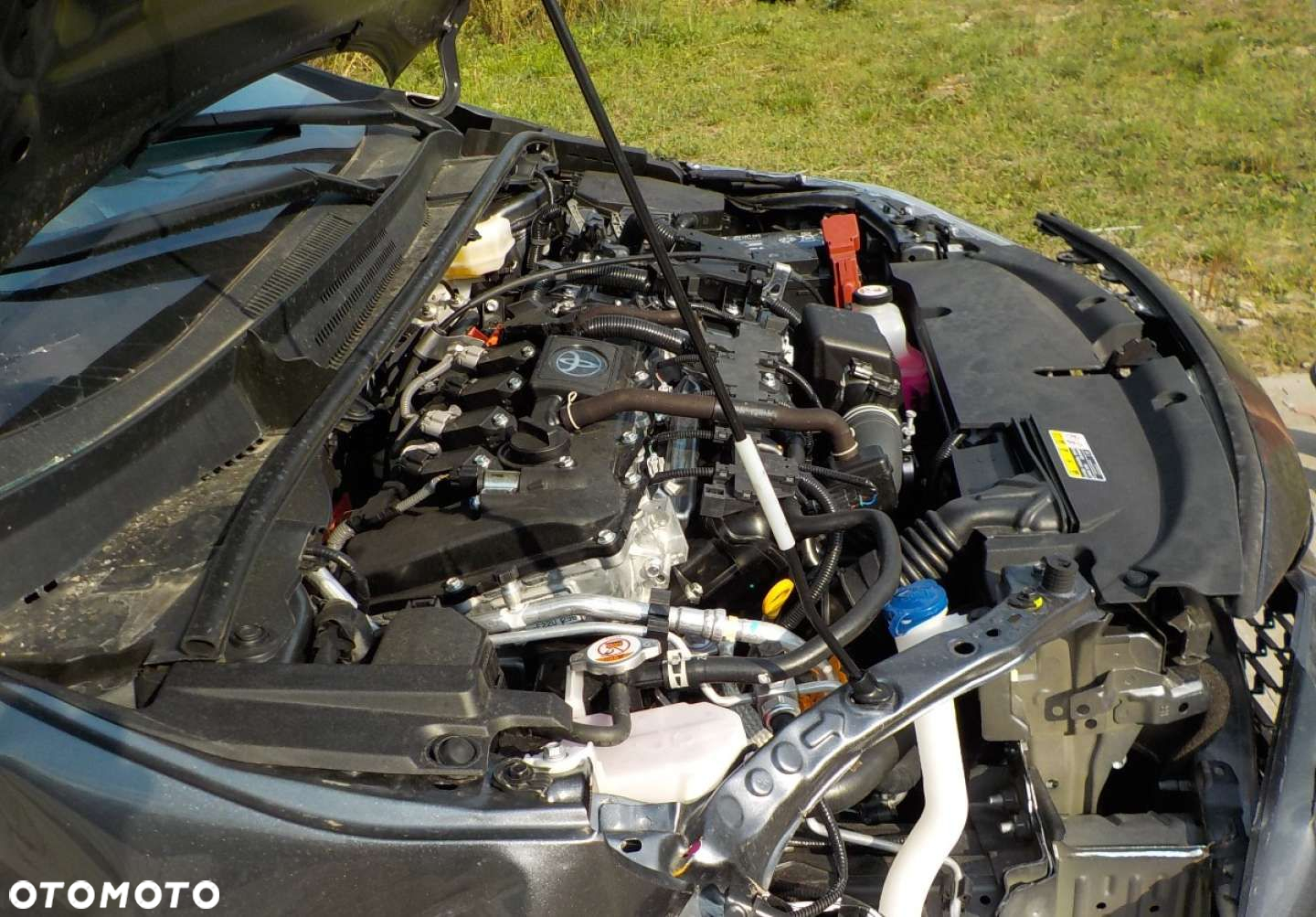 Toyota Corolla - 5