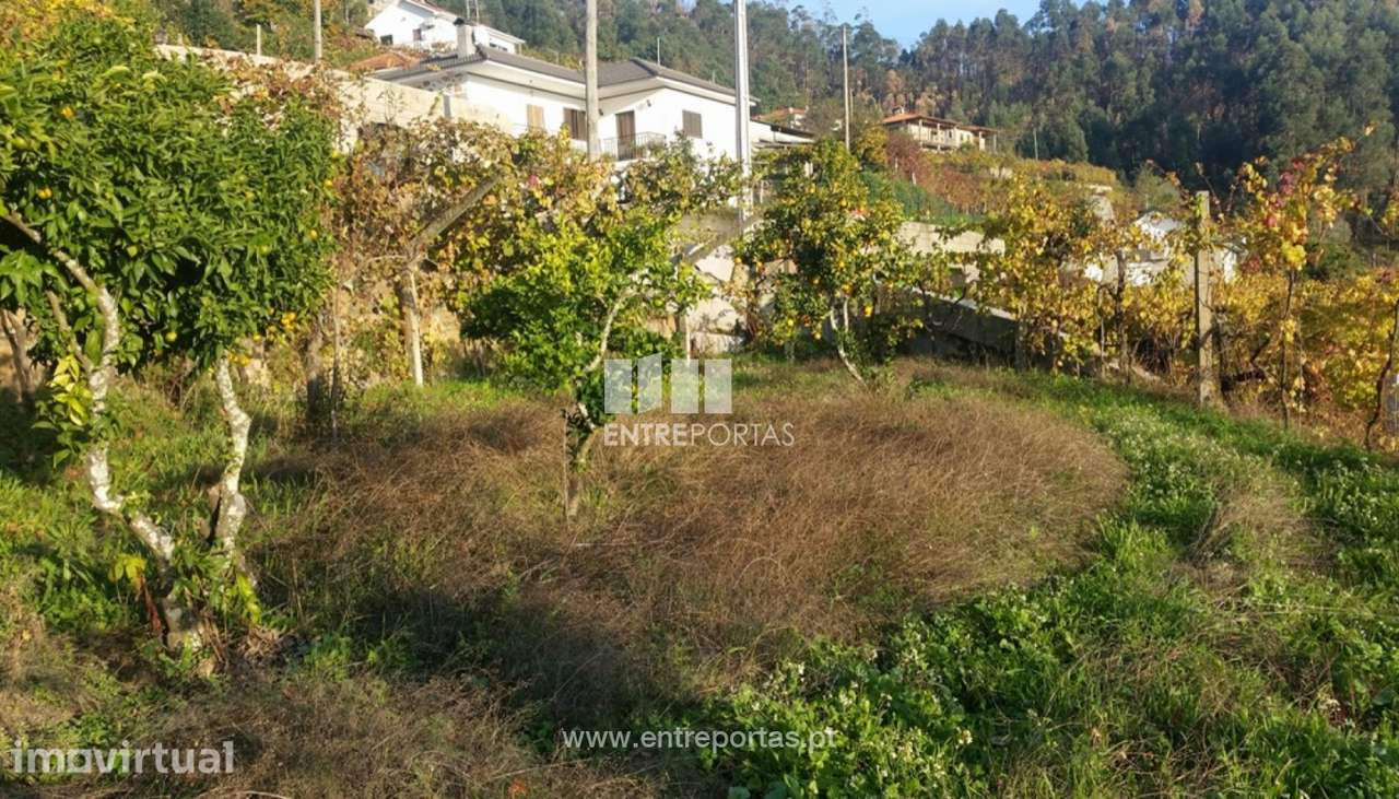 Venda Terreno, junto à estrada, Penha Longa, Marco de Canaveses - Grande imagem: 4/17