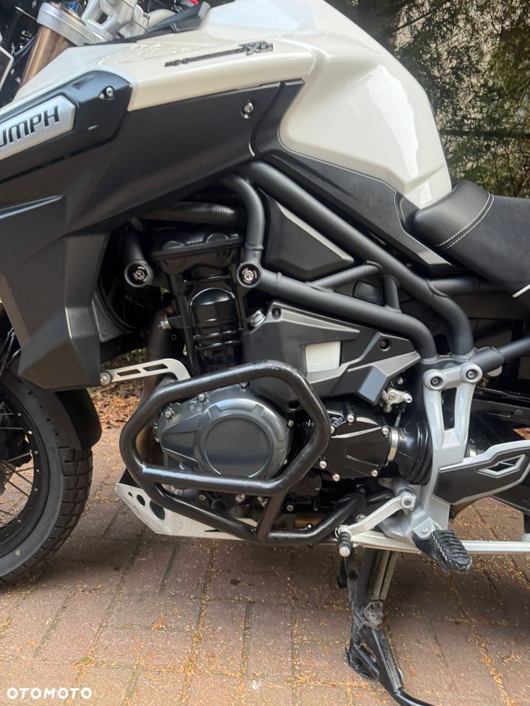 Triumph Tiger - 14