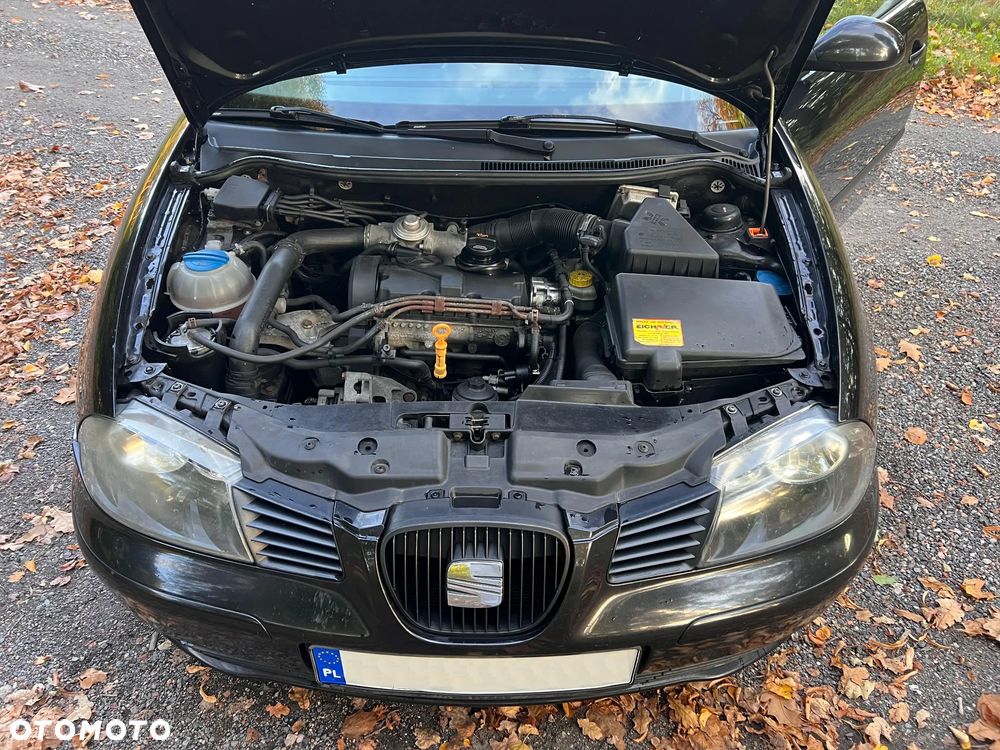 Seat Ibiza - 13