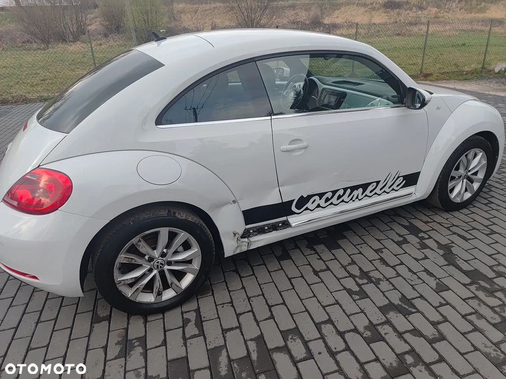 Volkswagen Beetle - 20