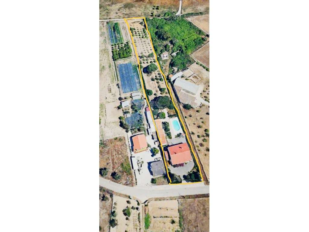 Quinta na zona do Penteado - Moita - Grande imagem: 4/42