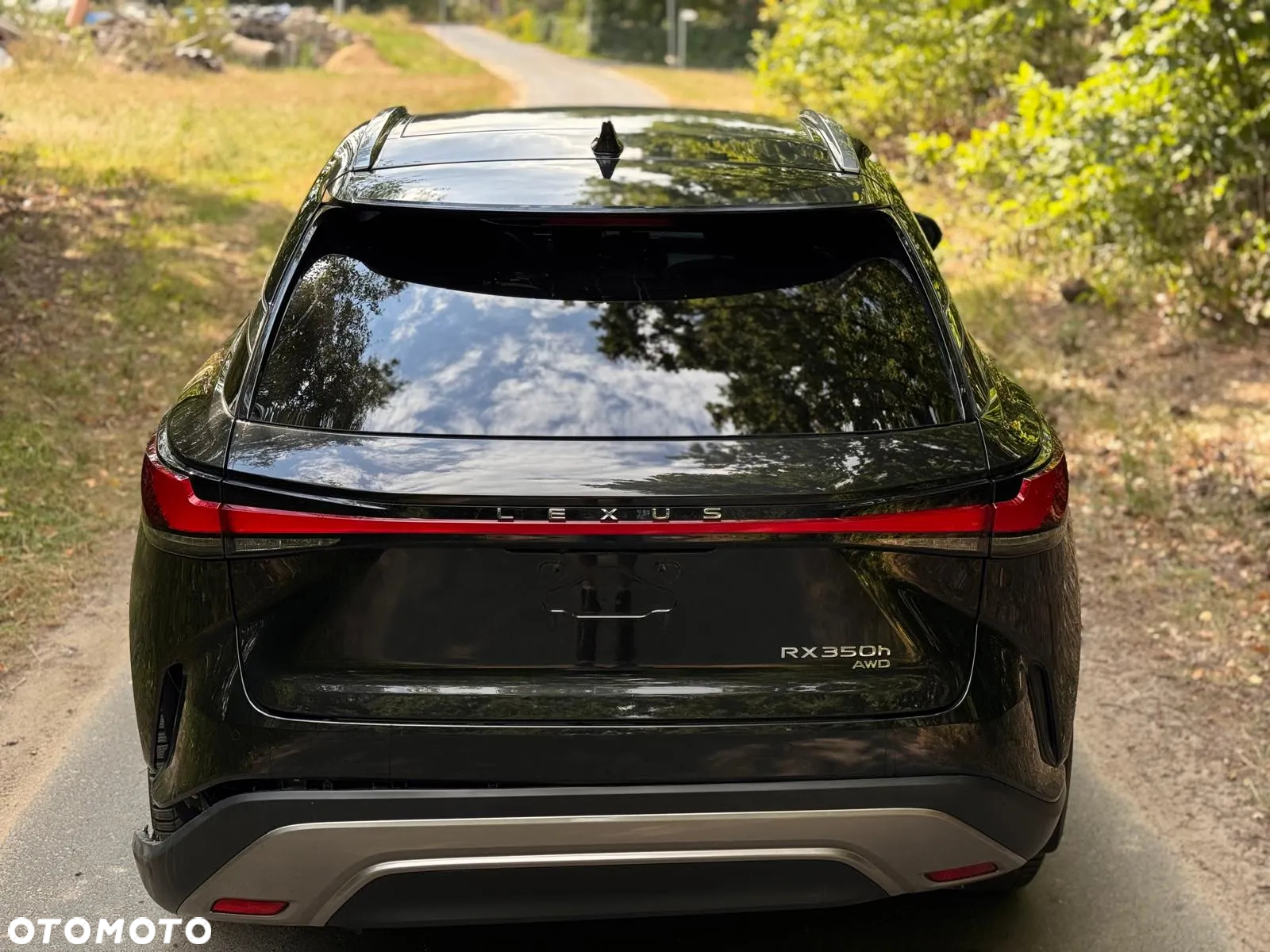 Lexus RX 350h (hybrid) Business - 12