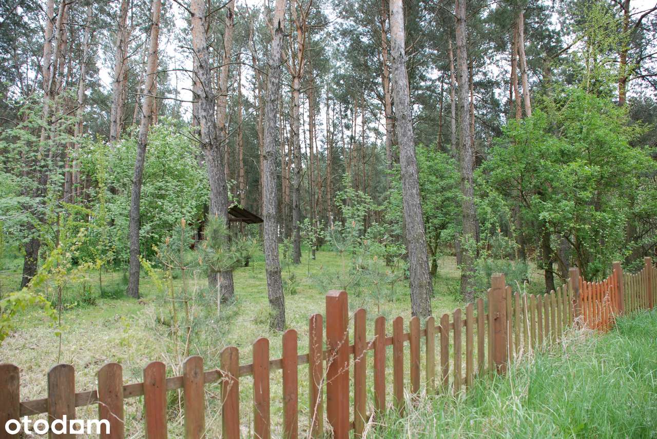 Działka rekreacyjna w miejscowości Połajewo nad jeziorem Gopło - Pełny obrazek: 5/14