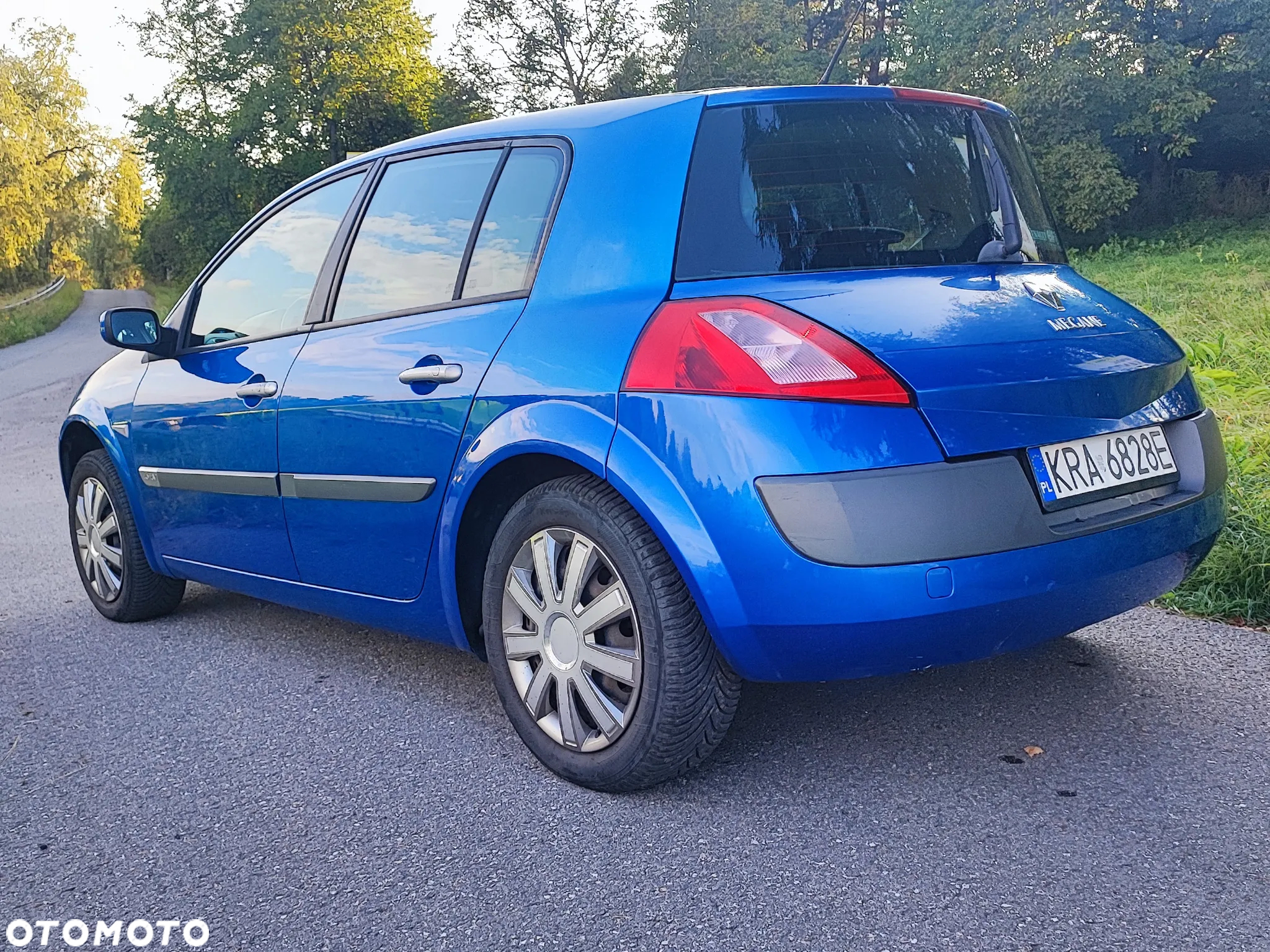 Renault Megane - 13