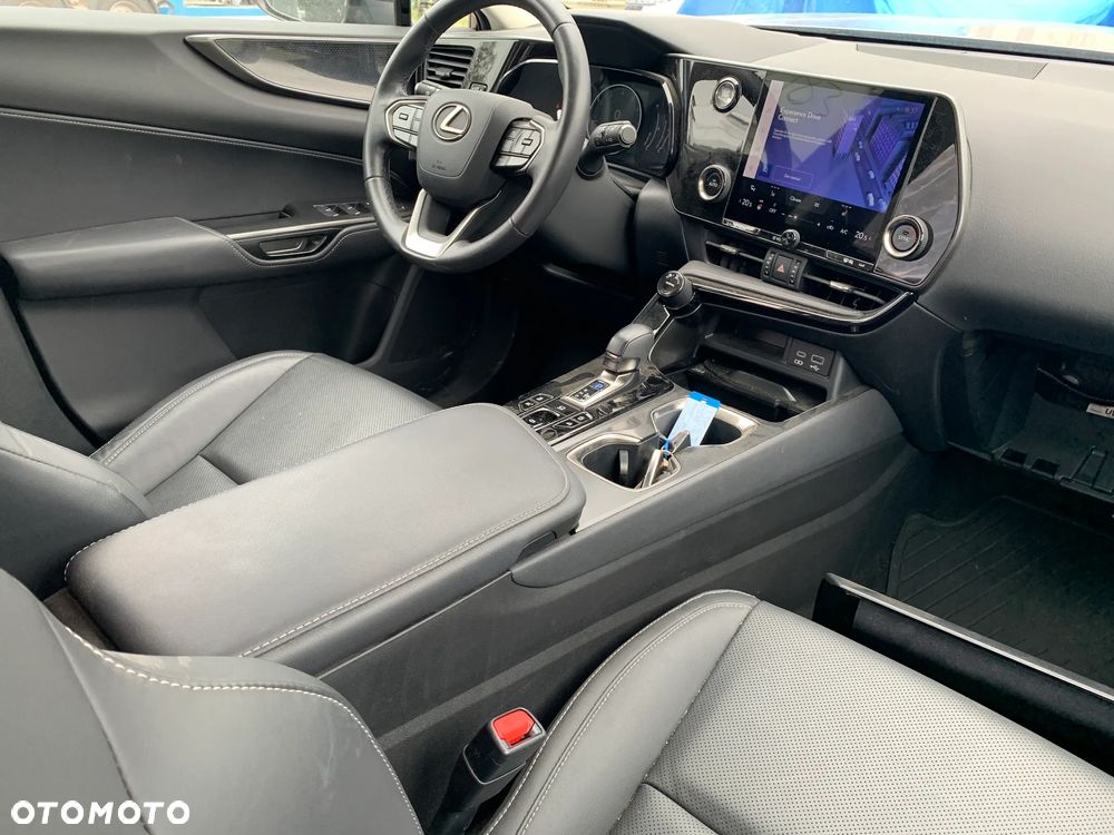 Lexus NX - 19