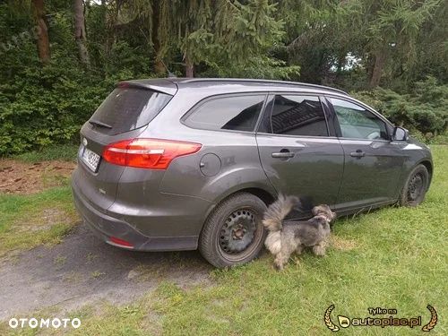 Ford Focus - 2