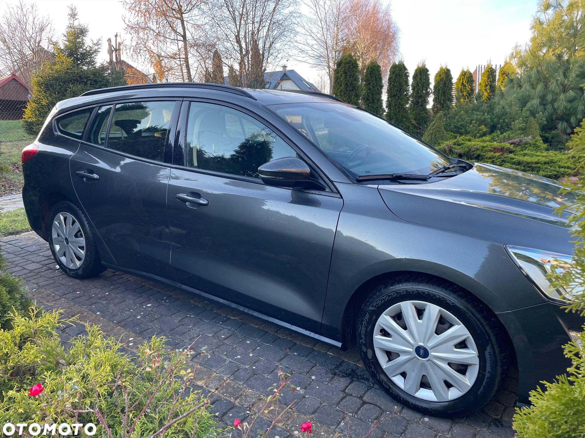 Ford Focus - 2