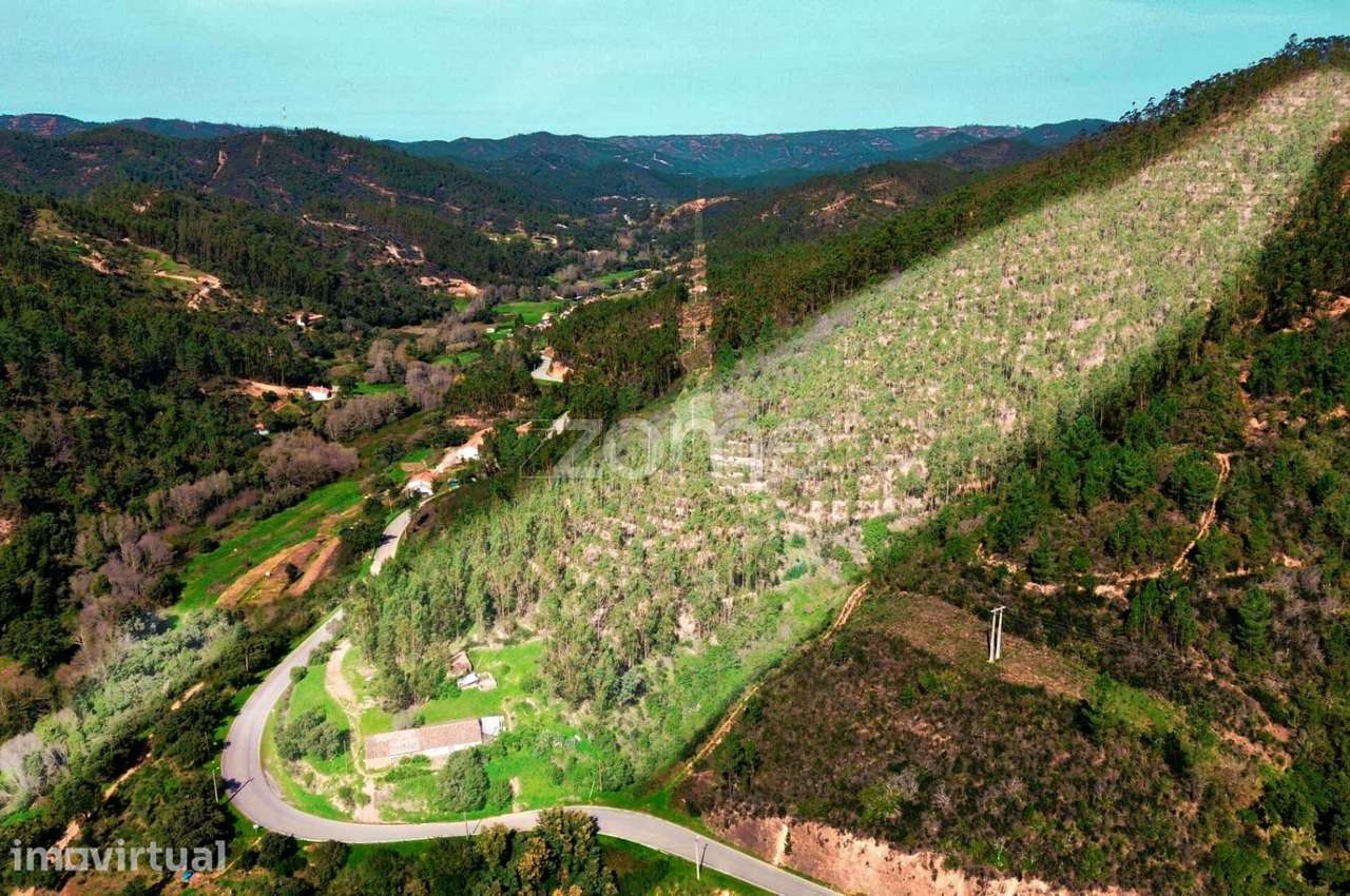 Moradia Térrea com 180m2 e 4 Hectares em Monchique - Grande imagem: 5/20