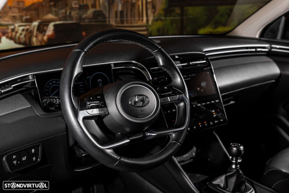 Hyundai Tucson 1.6 CRDi Premium - 14