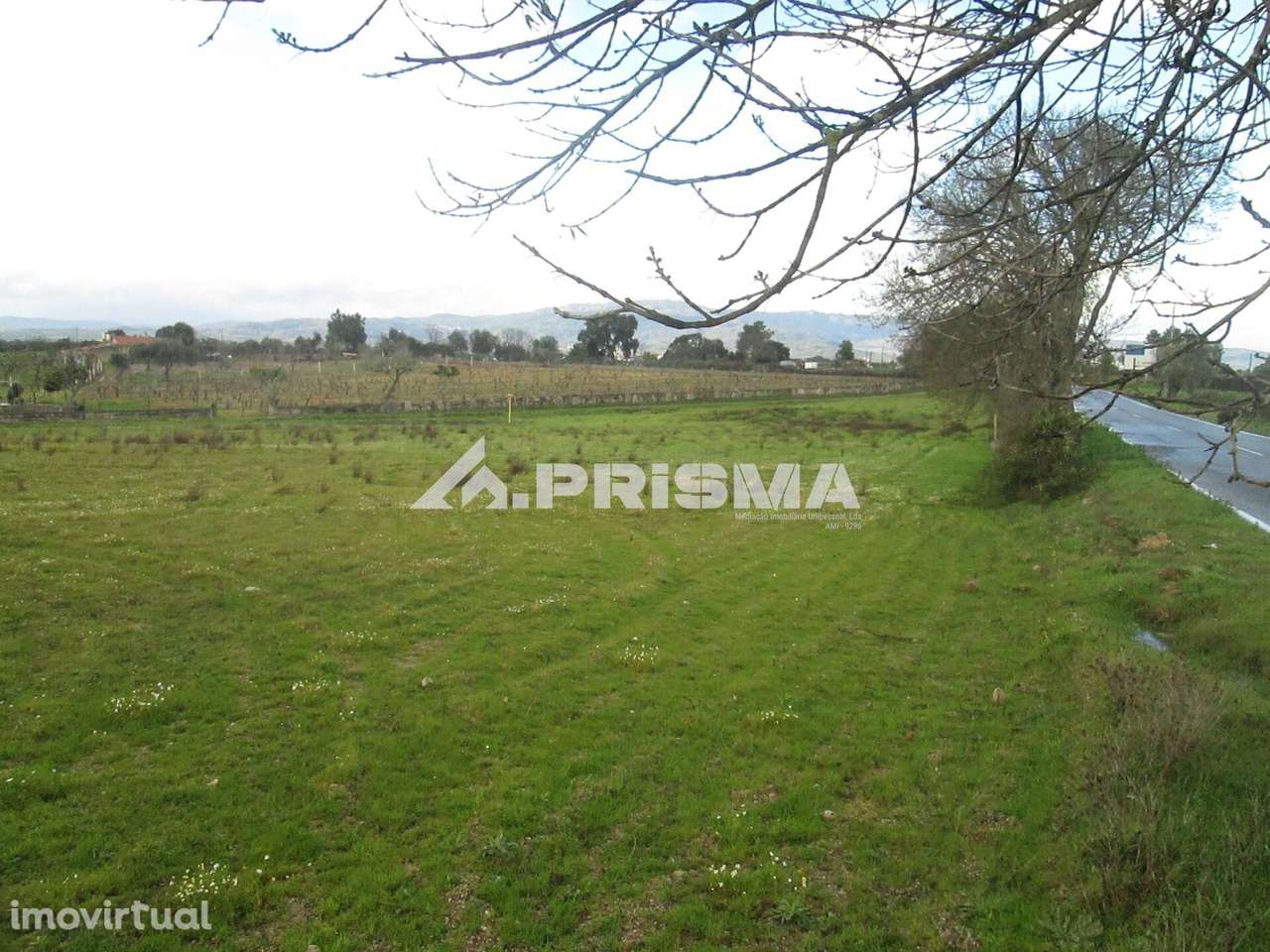 Terreno Rústico à Venda na Lardosa - Grande imagem: 5/38
