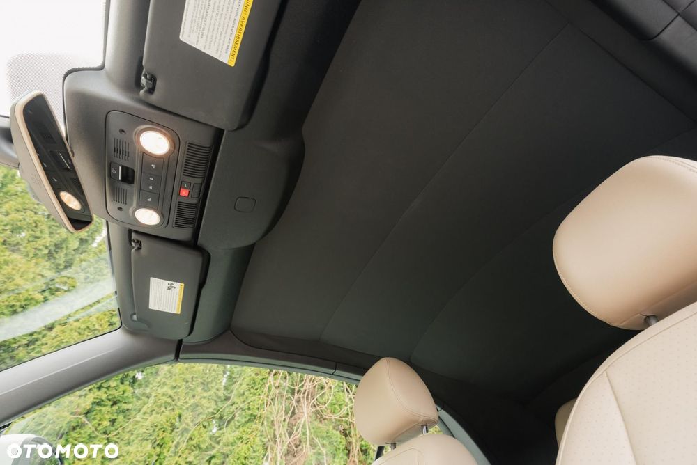 Volkswagen Beetle - 33