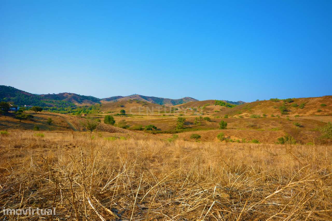 Propriedade com ruína em terreno com 49.360m2 - Grande imagem: 5/12