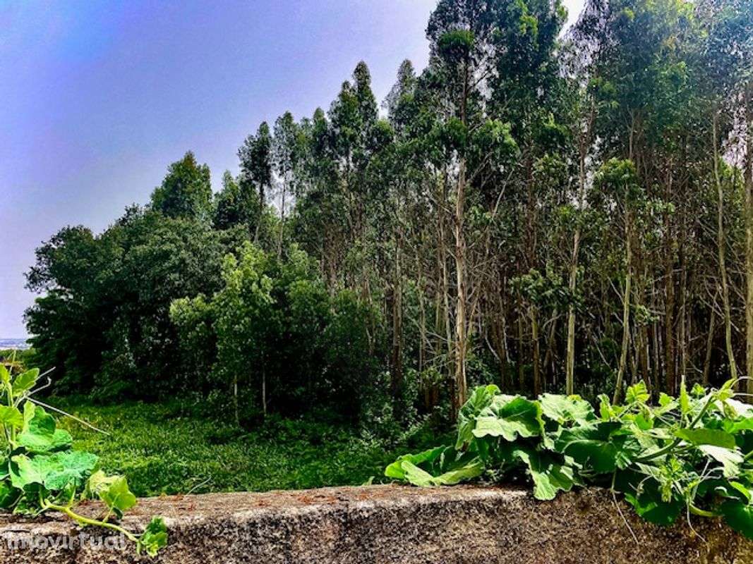 Terreno  para venda - Grande imagem: 2/4