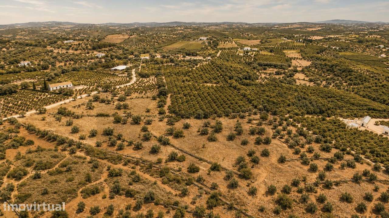 Terreno agrícola com 42.366 m2 em Silves - Grande imagem: 2/17