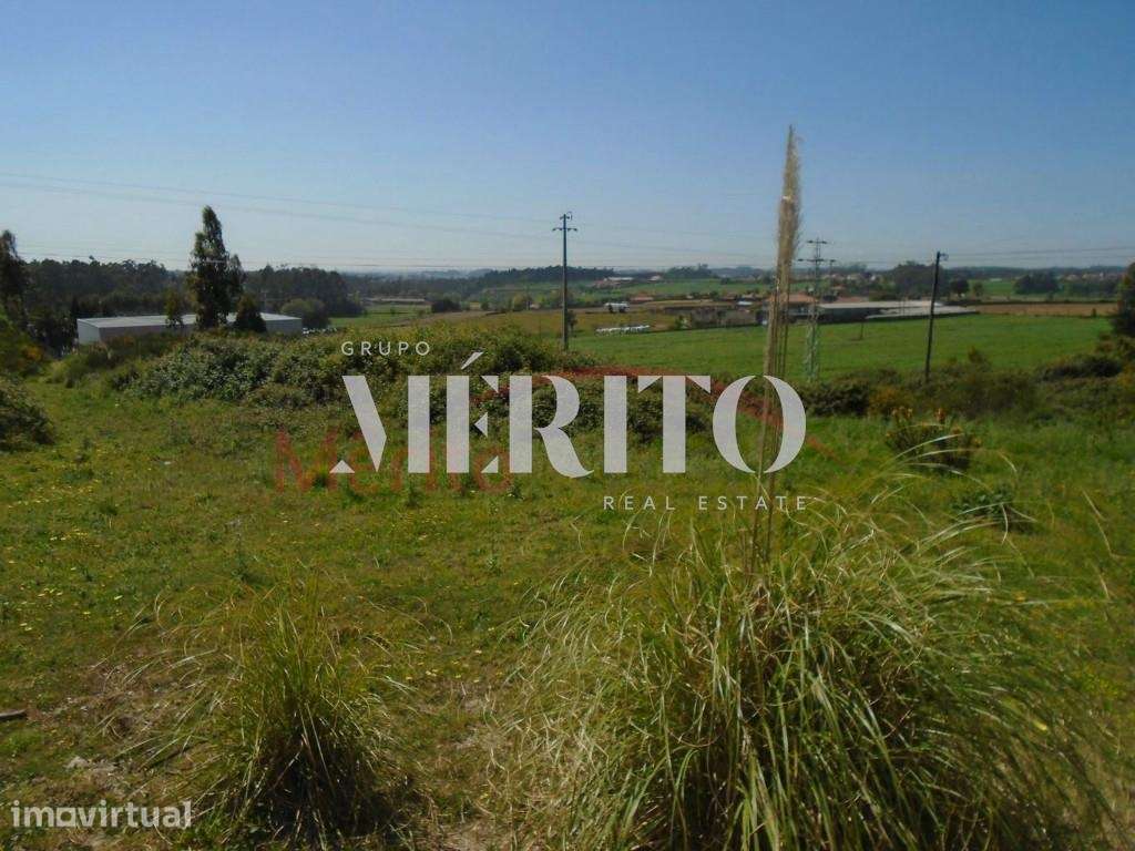 Terreno para construção  em Paradela S.Martinho de Bougado-  Trofa - Grande imagem: 3/13