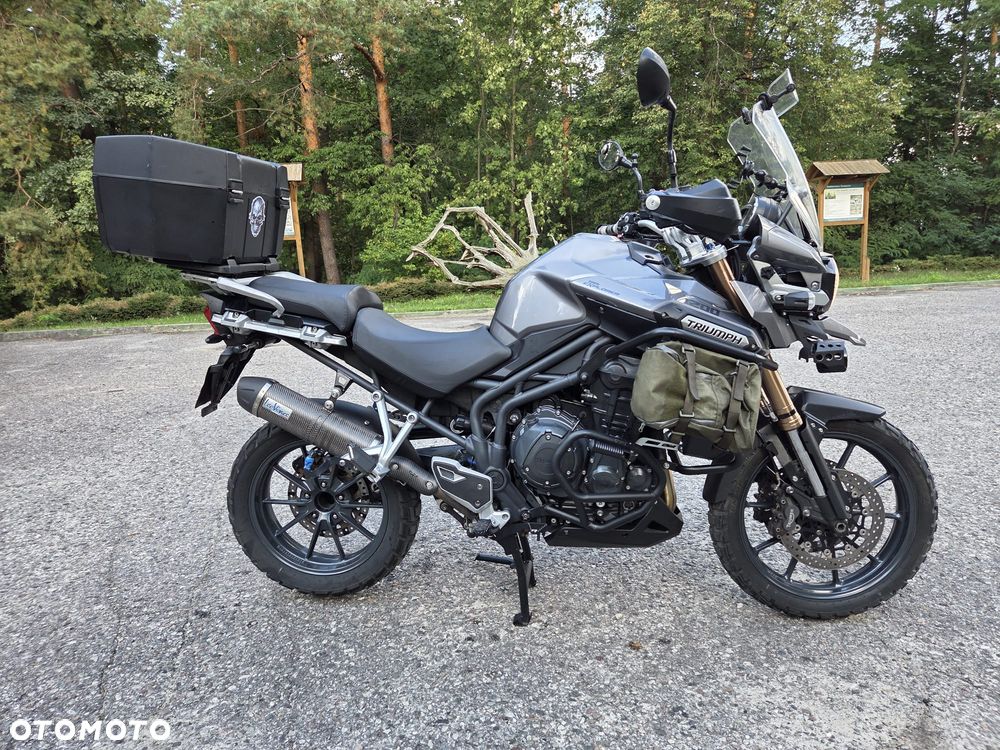 Triumph Tiger - 10