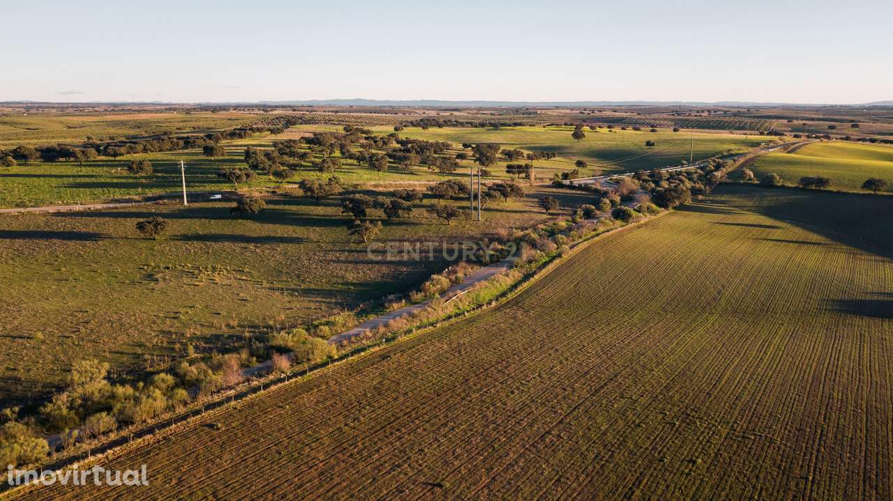 Herdade dos Castelhanos -  190 Hectares, Moura, Alentejo - Grande imagem: 3/9