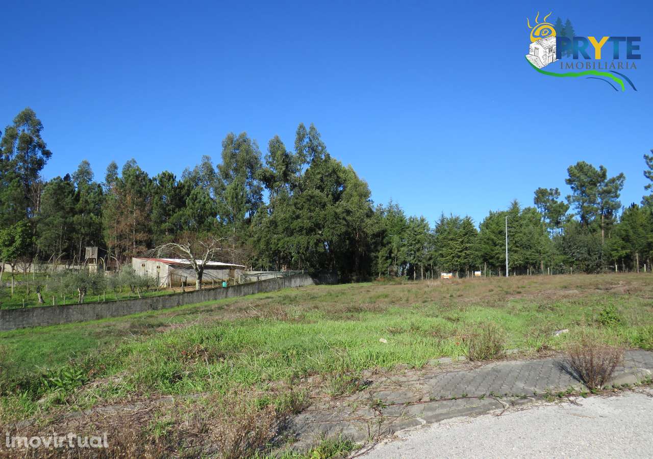 Excelente lote de construção situado em Cernache do Bonjardim - Grande imagem: 2/2