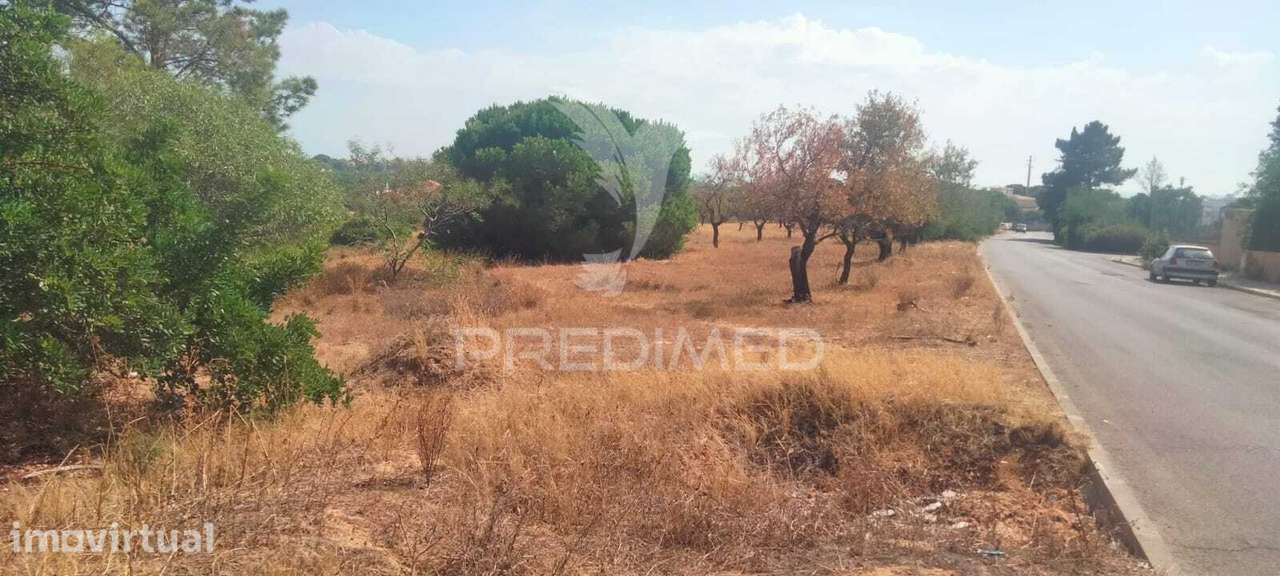 TERRENO RUSTICO EM VALE NAVIO - Grande imagem: 4/5