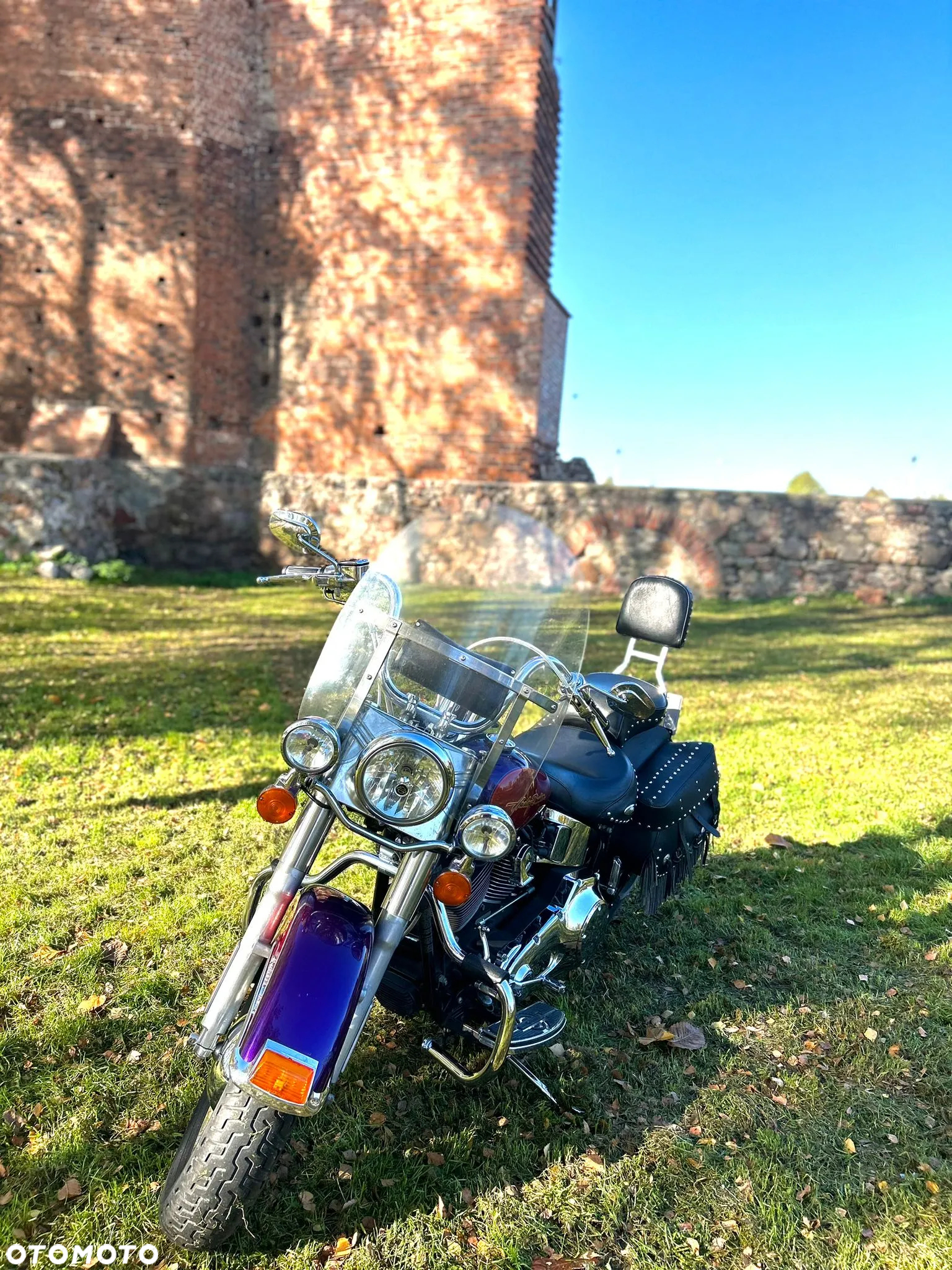 Harley-Davidson Softail - 6